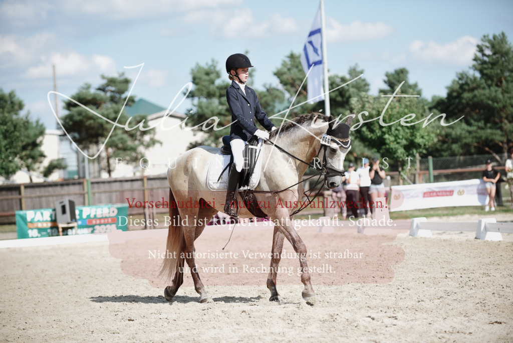 DSC_9906 | Pferde- und Turnierfotografie in Westsachsen. Pferdeportraits, Auftragszeichnungen und intuitive Kunst.