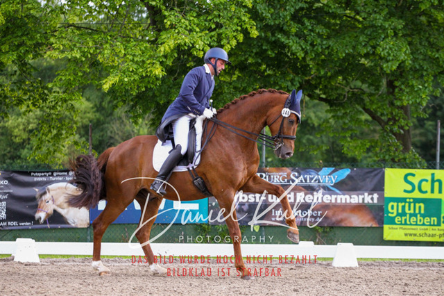 DKP41486 | Deine Turnierfotos vom Reitturnier online kaufen: Dressur, Springen & Siegerehrung. Professionelle Pferdefotografie aus dem Rheinland – als Download & Print.Alternative: Turnierfotograf für den Pferdesport: Finde deine Fotos von Dressur- und Springturnier