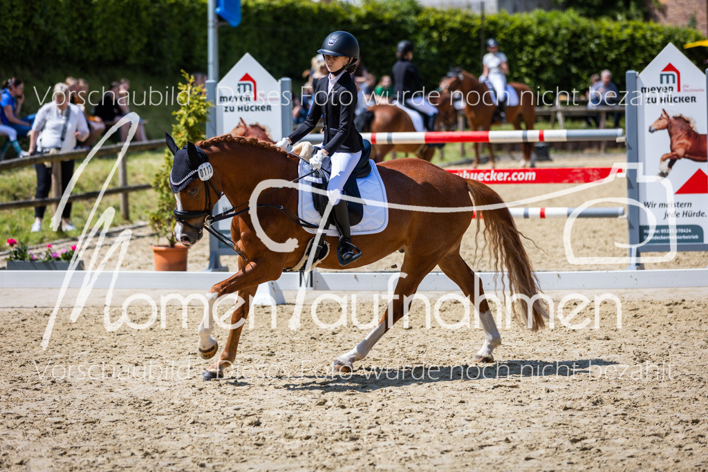 Donop24-RWB-050 | MomenTaufnahmen Pferdesportfotos