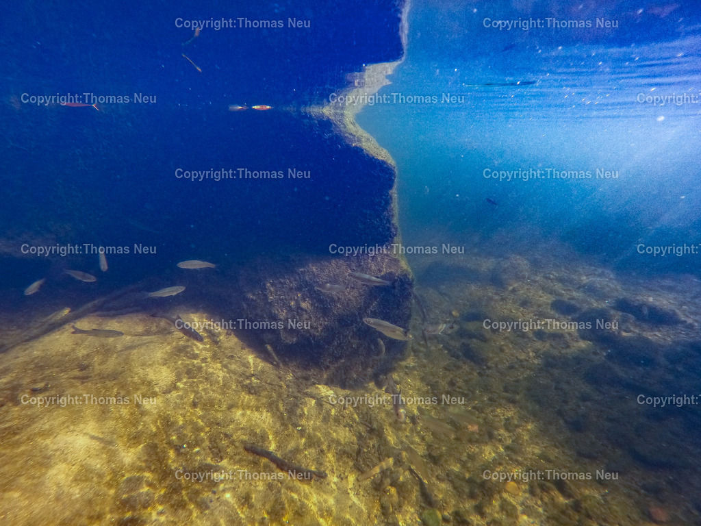 G0040209 | Einhausen , Weschnitz, Unter der Oberfläche fotografiert mit einer  Unterwasserkamera, ,, Bild: Thomas Neu