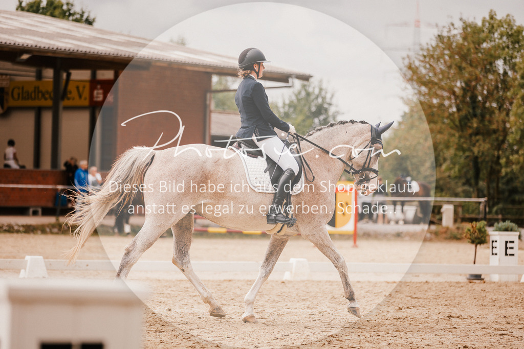 3I6A6179 | Stimmungsvolle Portraits und Reitsportfotografie im Ruhrgebiet und im Münsterland.

Pferdefotografie, Hundefotografie, Tierfotografie, Reportagen, Portraits von Tier und Mensch, Turnierfotografie in Bochum, Recklinghausen, Marl, Haltern am See, Dülmen.. - Realisiert mit Pictrs.com