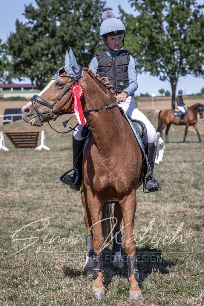 20260906-_3LI4772 | Tierfotografie Pferde, Hunde, Katzen, Haustiere.
Turnierfotografie Reitturniere, Reiten, Springreiten, Dressur in Hanau, dem Main-Kinzig-Kreis und dem Rhein-Main- Gebiet um Frankfurt