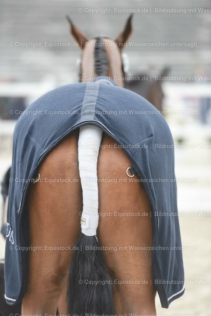 20230514_Impressionen_0203 | equistock