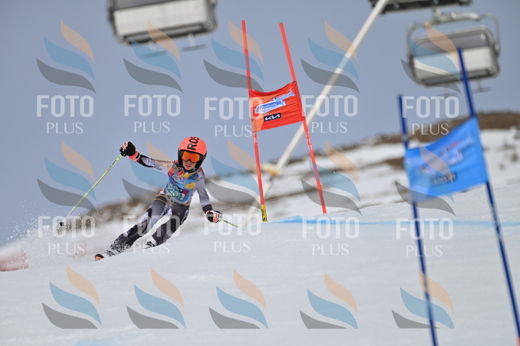 BGV_5020 | holidayphoto