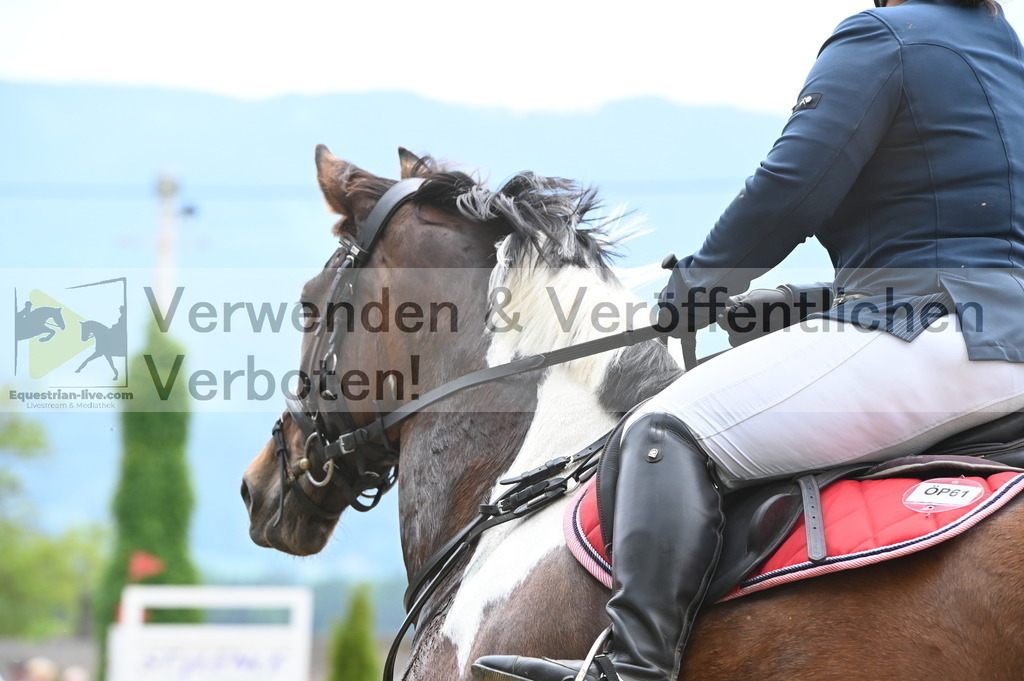 DSC_8227 | equestrian-live-com