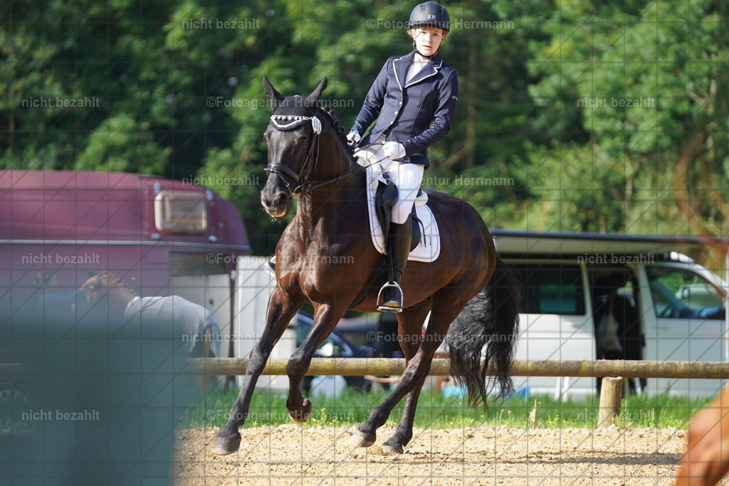 20240706-FAH04446 | Grafing Turnierfotos, Reitverein Ebersberg, Turnierfotografen Bayern, reitsportbilder, Pferdefotograf, reitsportfotograf, Sportbilder, Reitsportfotografie, Fotoagentur Herrmann, Turnierfotograf