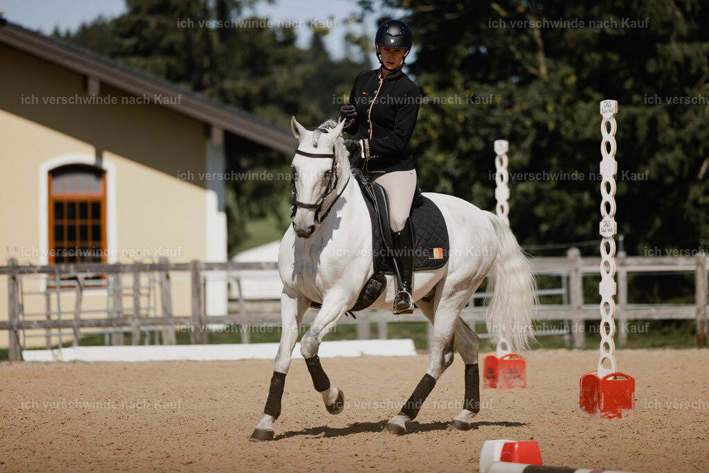 Virginie12FHC2025-27263 | working equitationturnier fotograf videograf stoibphotography marixx film working equitation deutschland reitsport turnierfotografie eventfotografie equestrian events