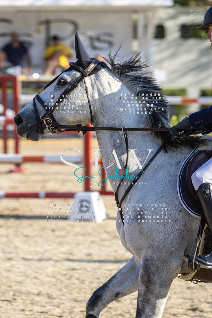 IMG_9607 | s-jay-photography - Realisiert mit Pictrs.com