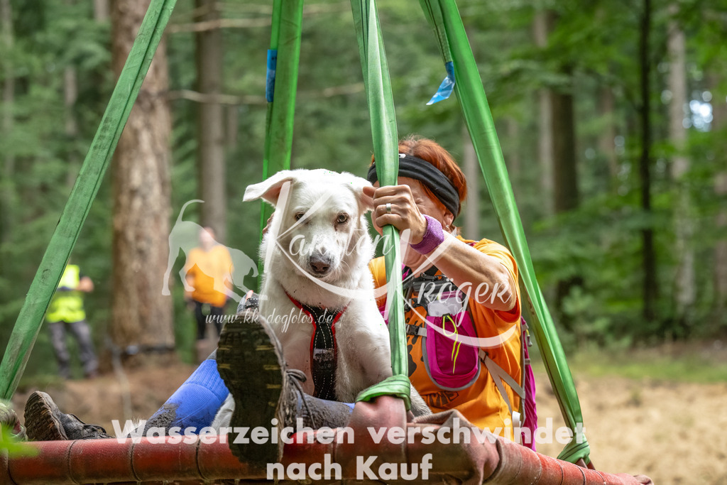 1149_ZZ90710-Bearbeitet | kk-dogfotos