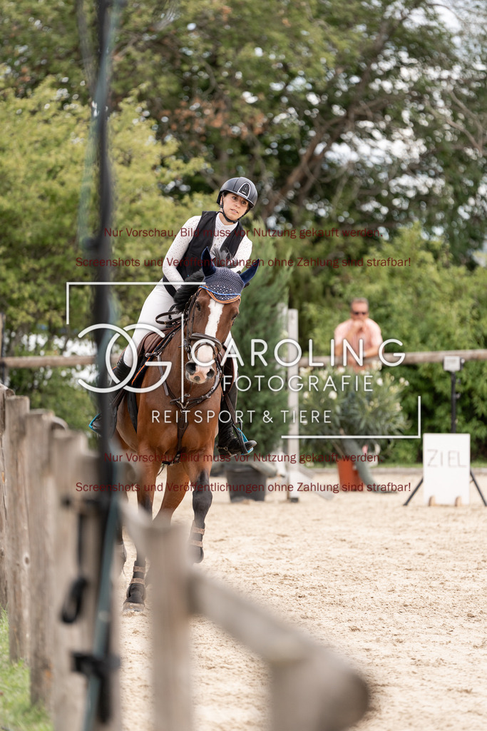 DSC06711 | Springturnier_Teamchallege_Talheim_2026, Celina_Heim, Uriah_5