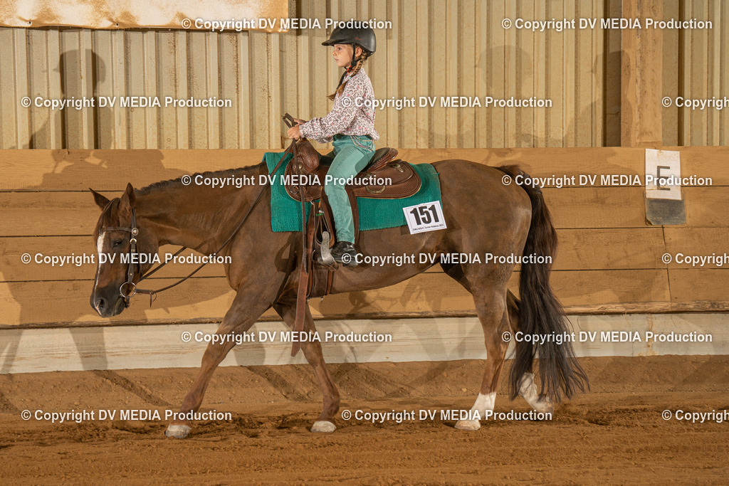 NID02800 | dv-media-shop - Realisiert mit Pictrs.com