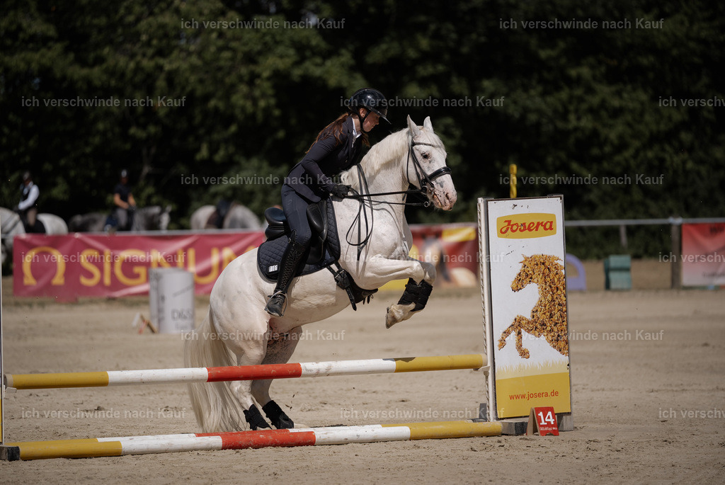 WM_SP_101_Stoibphotography_SO10019 | working equitationturnier fotograf videograf stoibphotography marixx film working equitation deutschland reitsport turnierfotografie eventfotografie equestrian events