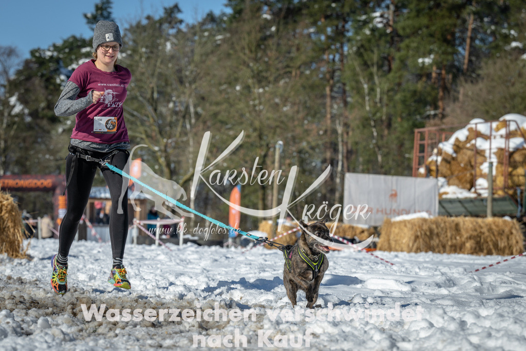 1116_ZZ90948-3 | kk-dogfotos