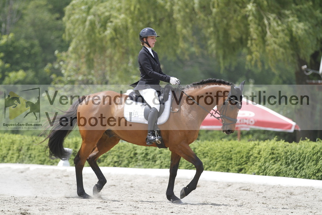 _MG_9616 | equestrian-live-com