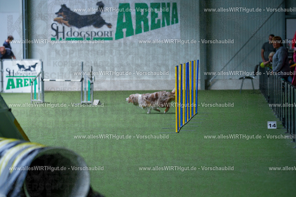 @allesWIRTHgut_Tierfotografie - www.allesWIRTHgut.de - 2604251218-7R501330 | Professionelle Tierfotografie in Mönchengladbach von Daniel Wirth (allesWIRTHgut). Liebevolle & natürliche Bilder von Hunden & Katzen für unvergessliche Erinnerungen.