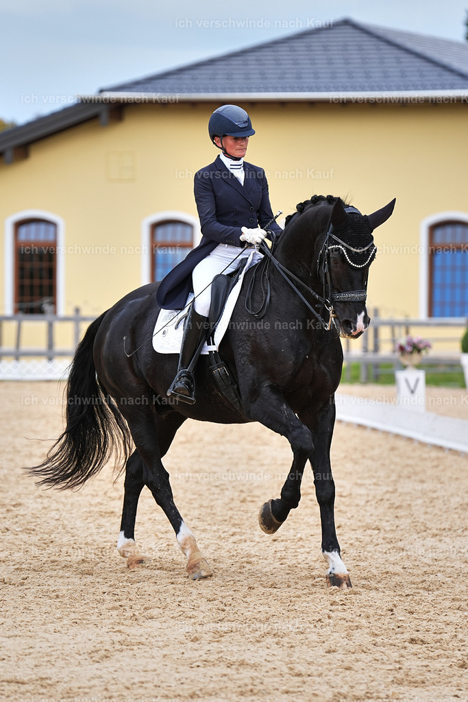 11-042-Dressur S___-Marixx-1675 | working equitationturnier fotograf videograf stoibphotography marixx film working equitation deutschland reitsport turnierfotografie eventfotografie equestrian events