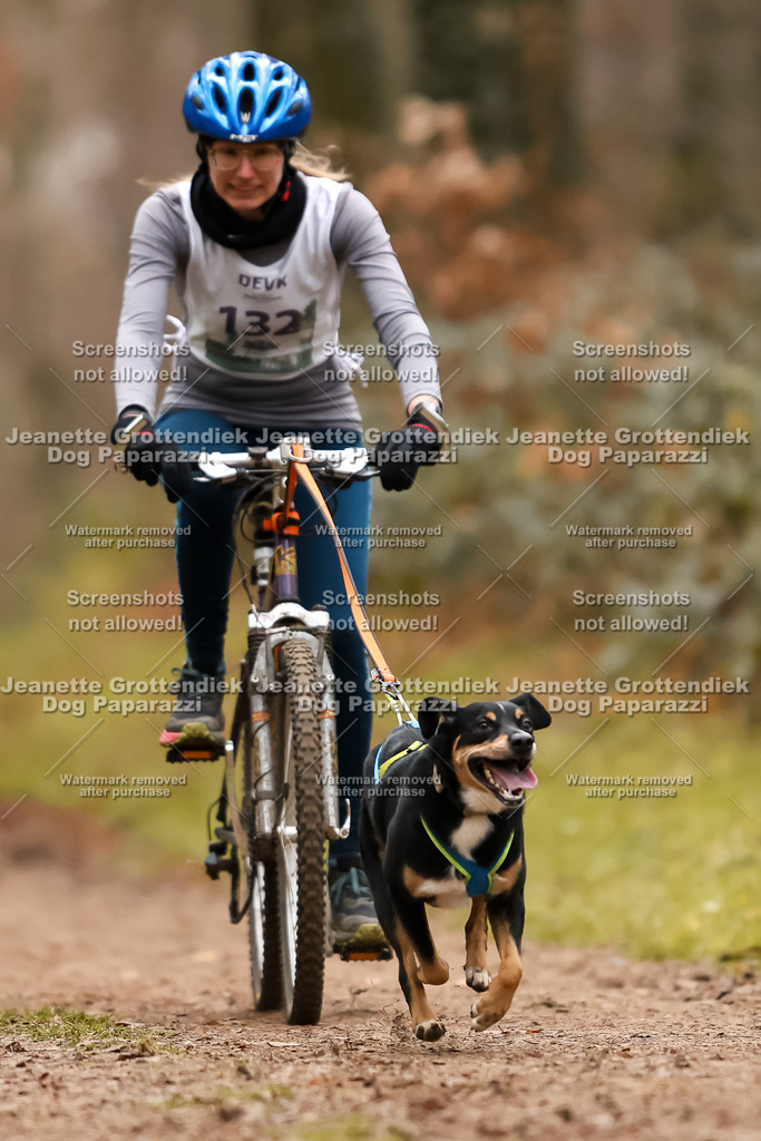 Dog Paparazzi - Speedhunter Mannheim  2025-369 | Dog Paparazzi Jeanette Grottendiek Fotografie & Videografie