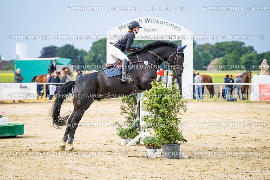 DSC03760 | Pferdegrafie