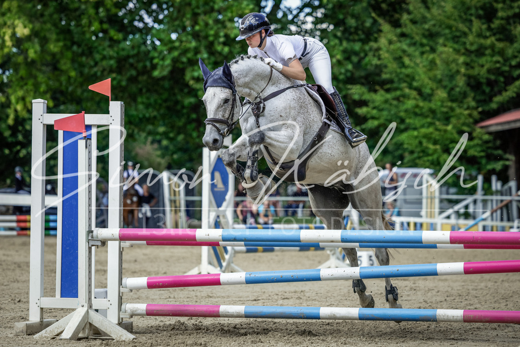 20250906-_3LI6308 | Tierfotografie Pferde, Hunde, Katzen, Haustiere.
Turnierfotografie Reitturniere, Reiten, Springreiten, Dressur in Hanau, dem Main-Kinzig-Kreis und dem Rhein-Main- Gebiet um Frankfurt