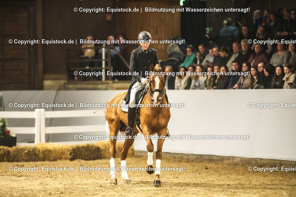 20240302_Hengstvorstellung_Marbach_TOMsPiC_0888-2 | equistock