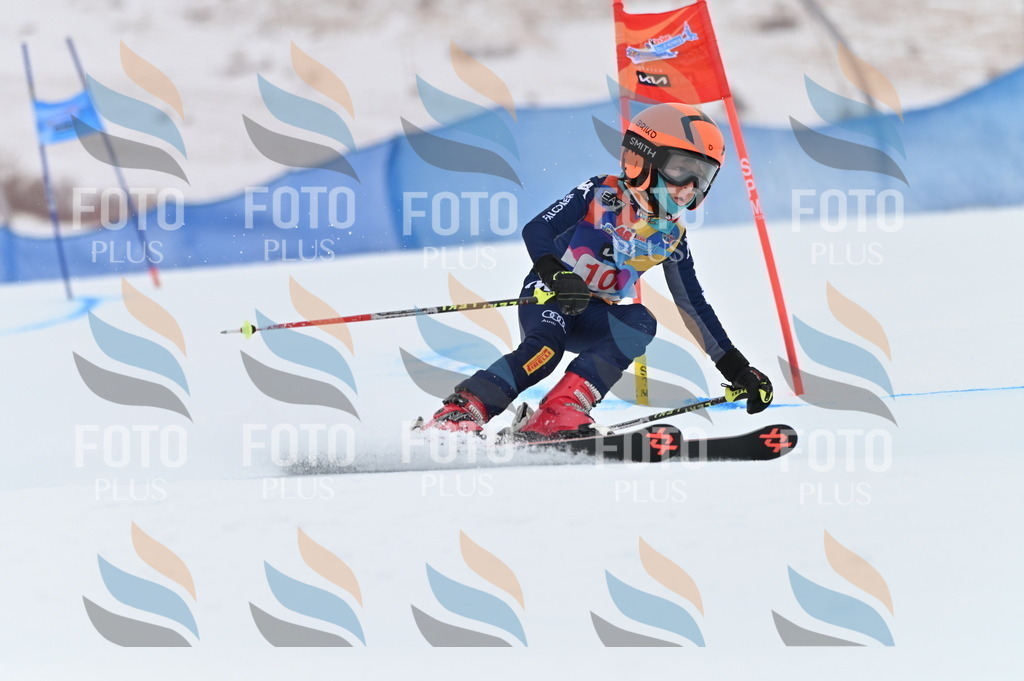 BGV_9390 | holidayphoto