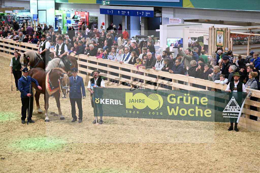 Schauprogramm_Gruppenbild_1261193 | hf-fotografie - Realisiert mit Pictrs.com