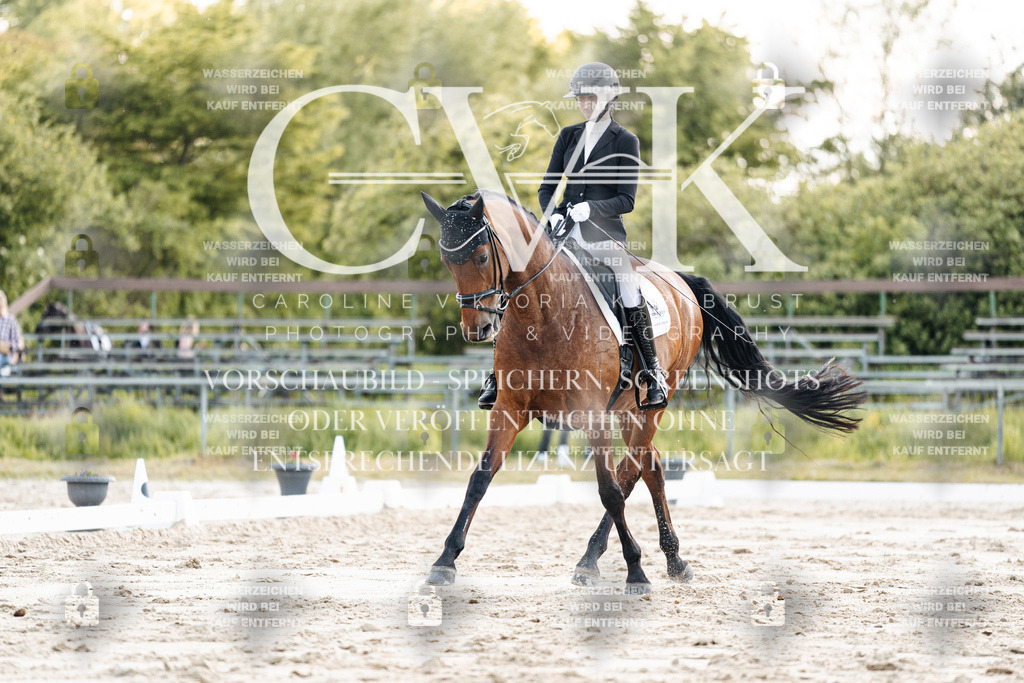 CK909630 | Turnierfotografie Pferdefotografie Trier Rheinland-Pfalz Pferdesport Reitsport Tierfotografie Sportfotografie Pferdevideo Pferdevideografie Equestrianvideography equestrianphotography  - Realisiert mit Pictrs.com