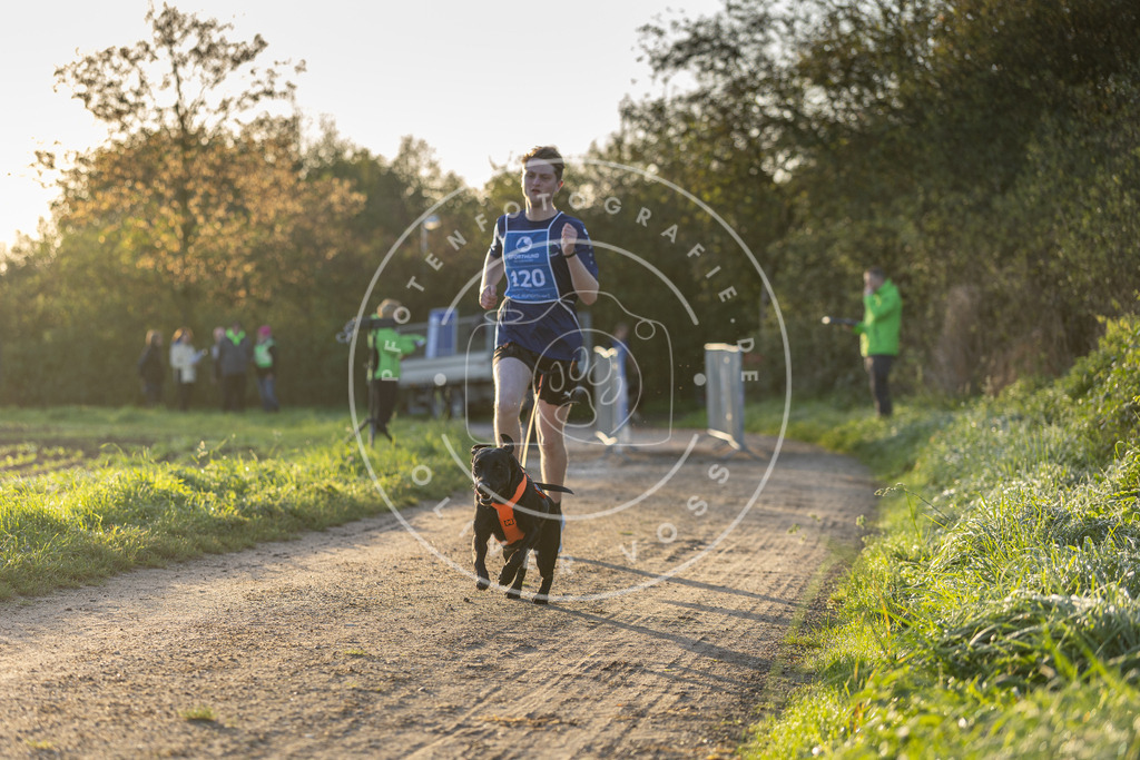 Pfotenfotografie.de_DV3A2414 | Hundefotografie, Tierfotograf, Pfotenfotografie, Fotoshooting Hund, Hunde Portrait, Hundesport, Hundeportraits, Heideshooting, Hunde, Sportfotograf, Hundefotograf, Turnierhundsport, THS, canicross - Realisiert mit Pictrs.com