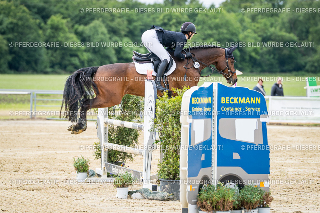 DSC04874 | Pferdegrafie