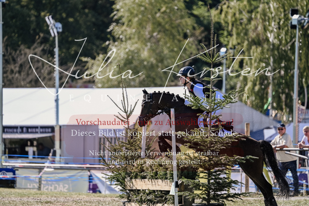 DSC_2955 | Pferde- und Turnierfotografie in Westsachsen. Pferdeportraits, Auftragszeichnungen und intuitive Kunst.