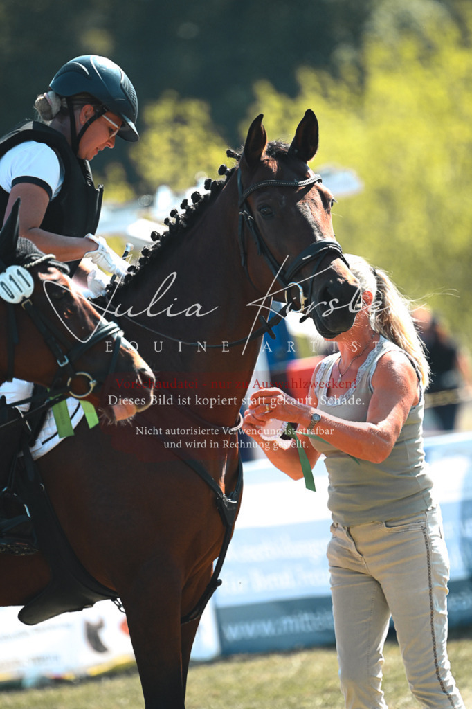 DSC_8437 | Pferde- und Turnierfotografie in Westsachsen. Pferdeportraits, Auftragszeichnungen und intuitive Kunst.