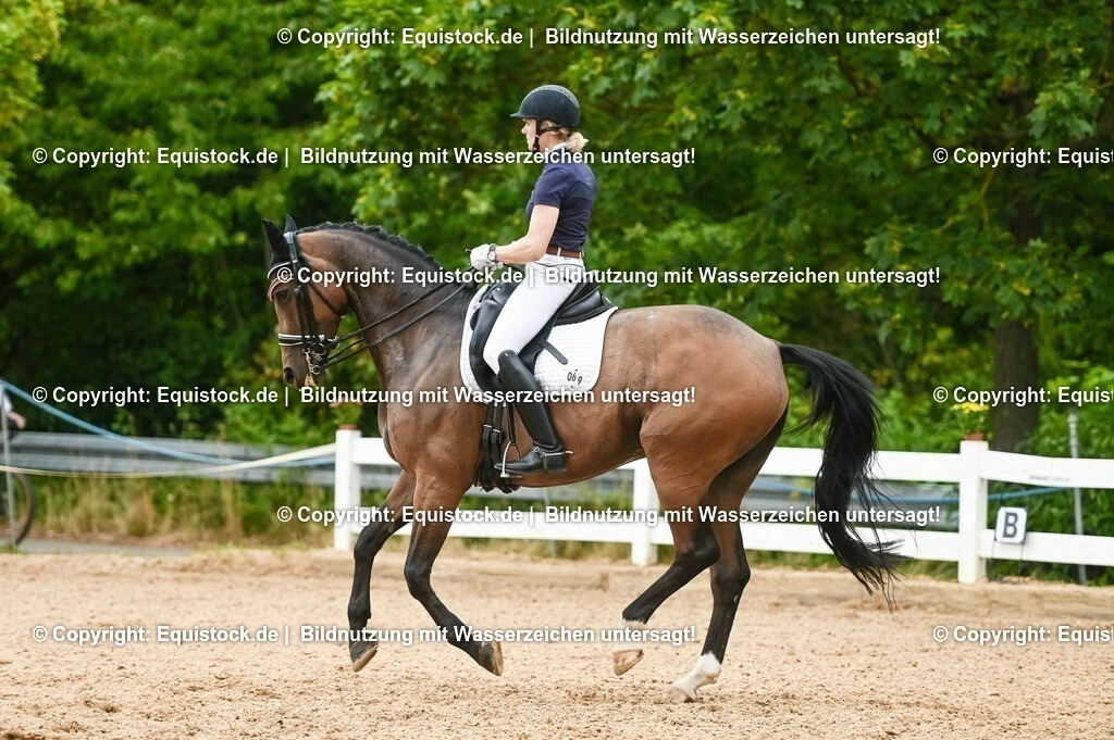 20230716_01_Dressurprüfung Kl.M_0440 | equistock