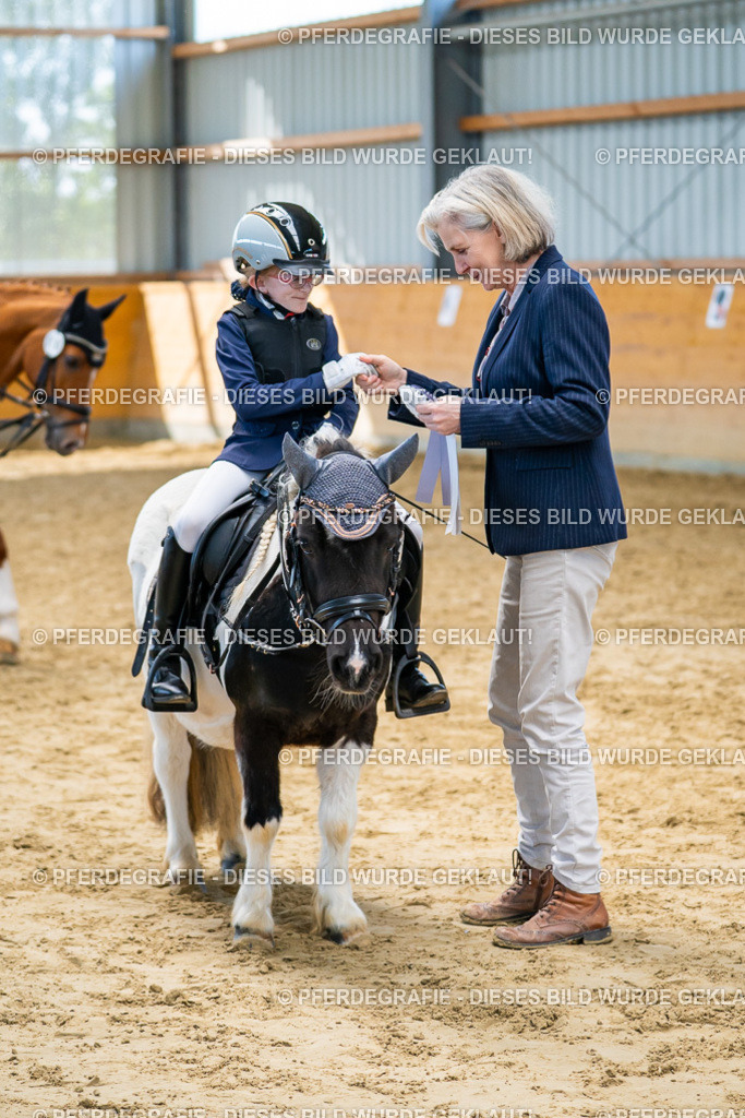 DSC01460 | Pferdegrafie