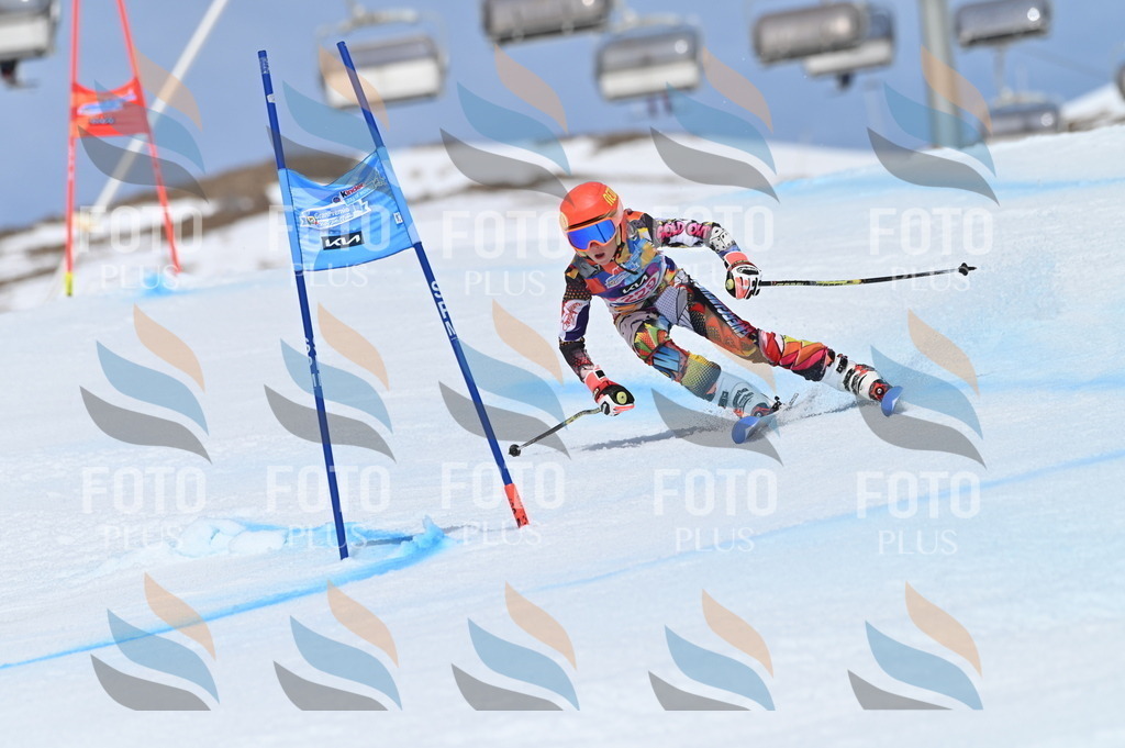 BGV_1482 | holidayphoto