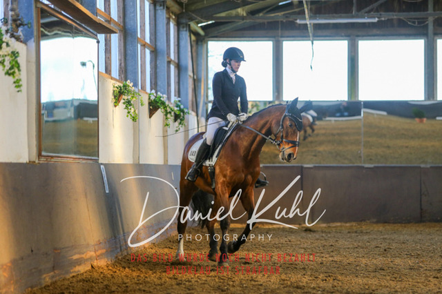 IMG_3294 | Turniersportfotografie; Pferdefotografie; Dressurfotografie