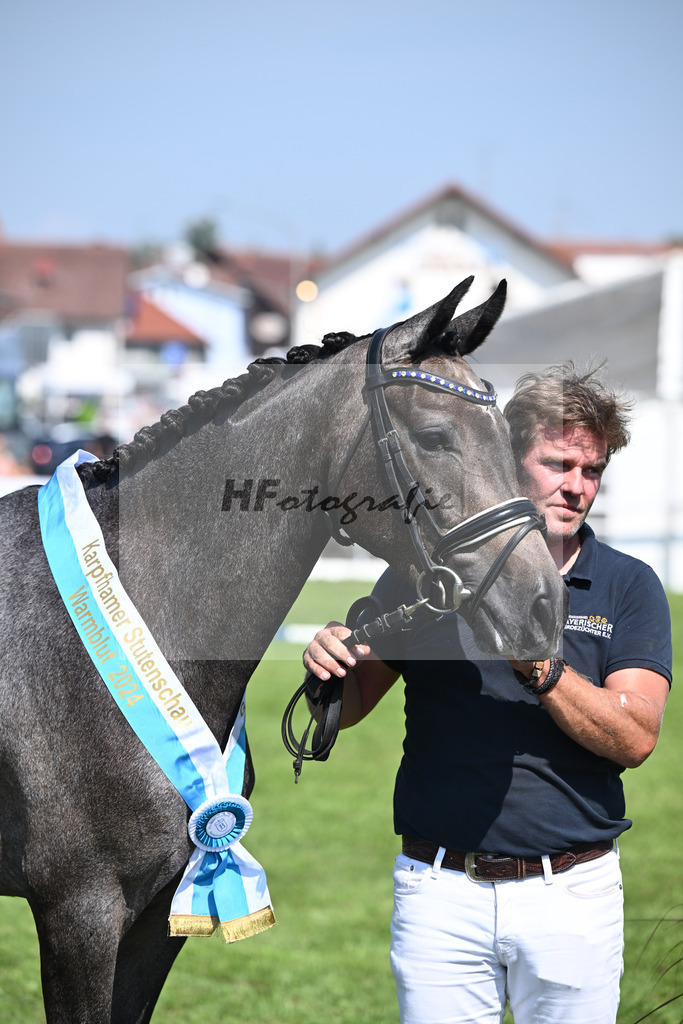 Kat-Nr. 28 nn v. Cayado_Sommer_34240603 | hf-fotografie - Realisiert mit Pictrs.com