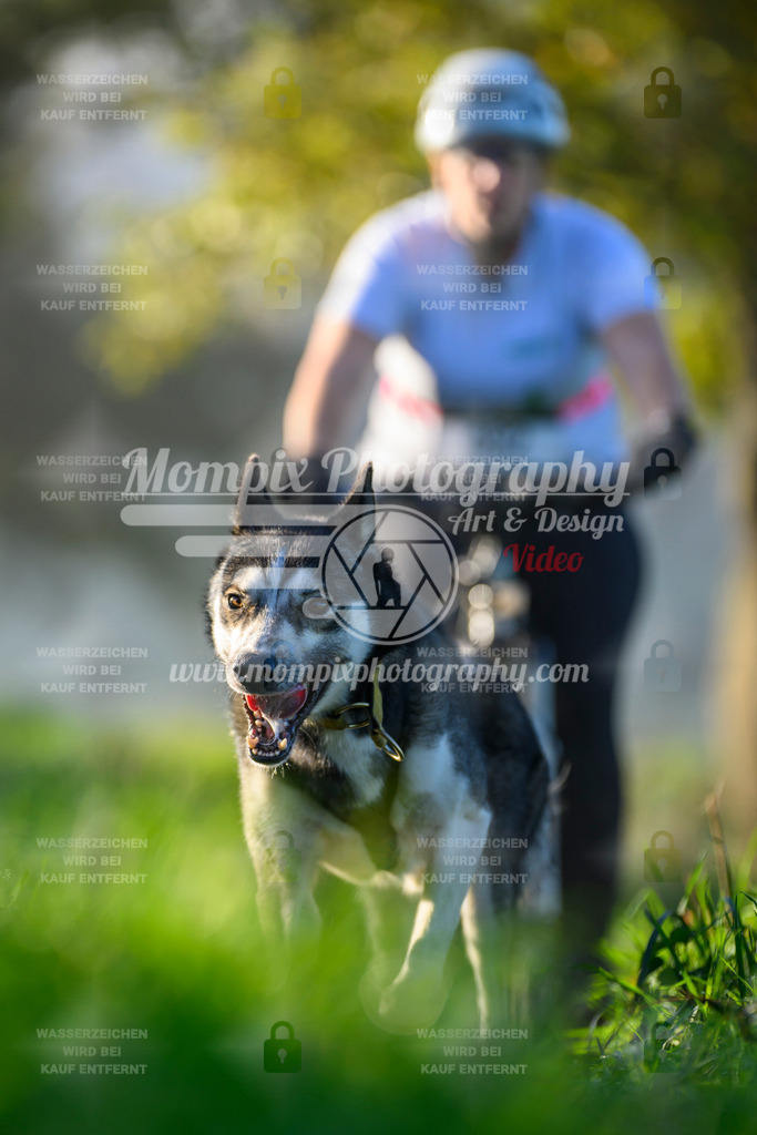 MompixPhotography_20TSB_E3_Bike-228 | PayLife