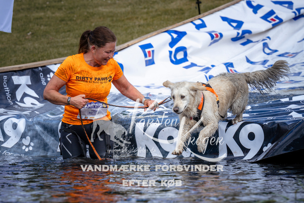 _ZZ917640917 | kk-dogfotos