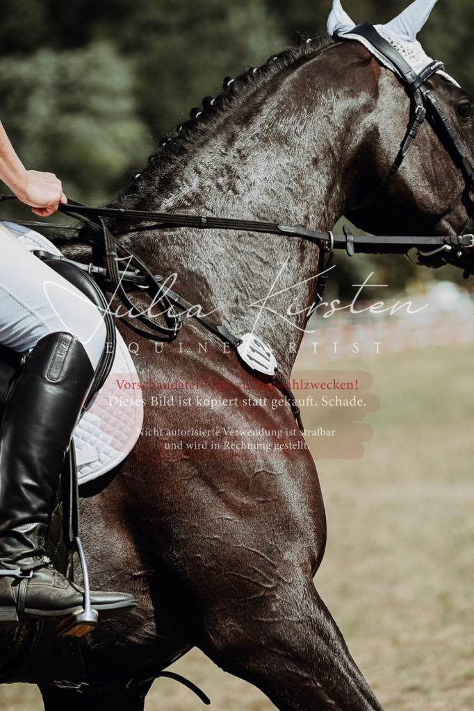 DSC_9715 | Pferde- und Turnierfotografie in Westsachsen. Pferdeportraits, Auftragszeichnungen und intuitive Kunst.