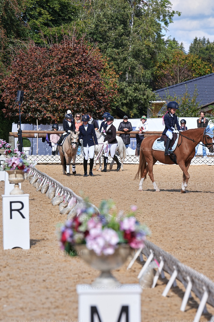 01--Ponyführzügel -Marixx-6005 | working equitationturnier fotograf videograf stoibphotography marixx film working equitation deutschland reitsport turnierfotografie eventfotografie equestrian events
