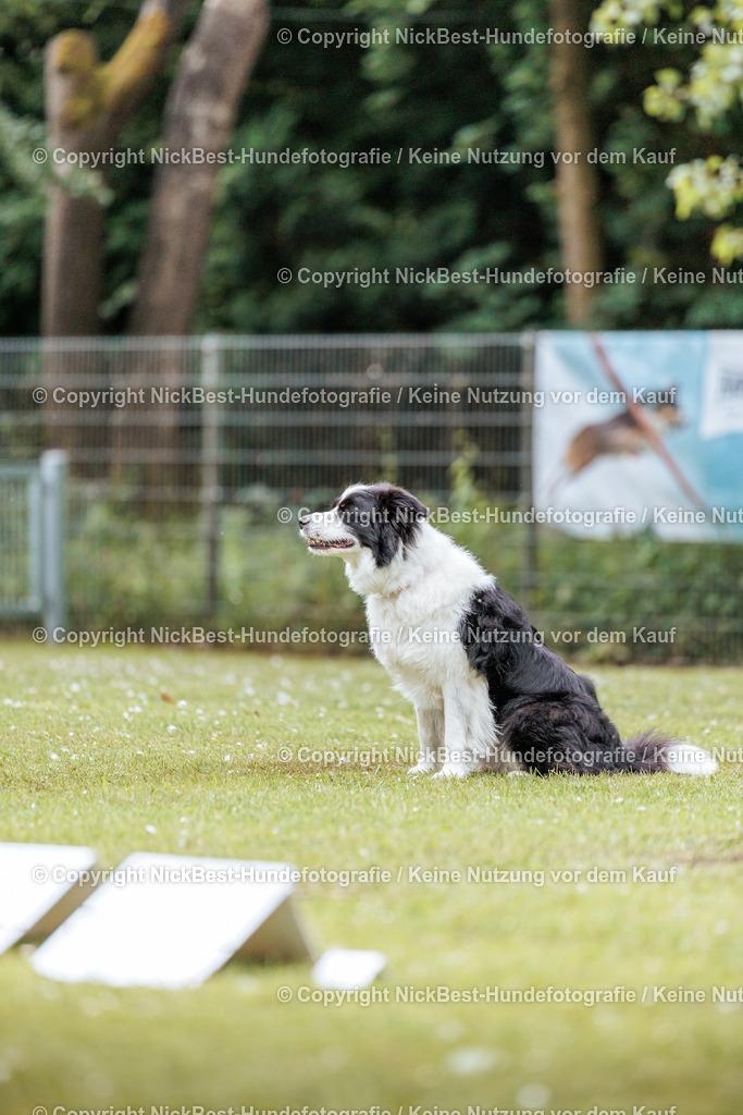 RO-Blumenthal-2026-Nickbest-Hundefotografie-2275 | Dein Hund! Dein Moment! Deine Erinnerungen! Hundefotografie in Bremen Blumenthal. Ich fange die besonderen Momente deines Vierbeiners ein – ob Indoor mit Blitzanlage oder in der freien Natur. Sicher dir dein Moment und dein Termin für eure Erinnerungen.
