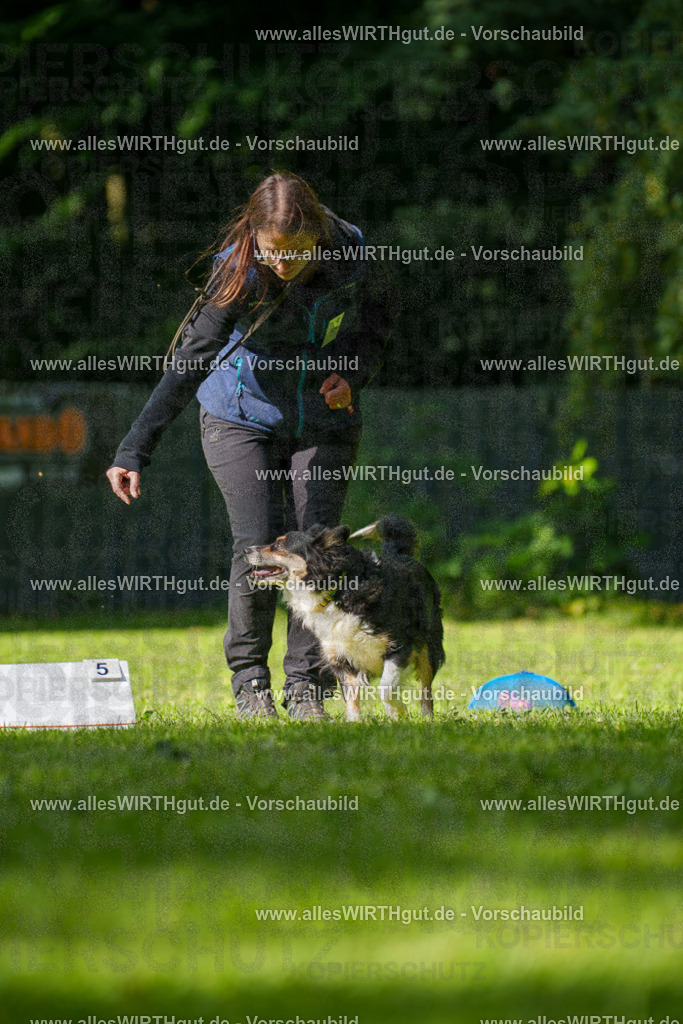 @allesWIRTHgut_Tierfotografie - www.allesWIRTHgut.de - 082655-7R506194 | Professionelle Tierfotografie in Mönchengladbach von Daniel Wirth (allesWIRTHgut). Liebevolle & natürliche Bilder von Hunden & Katzen für unvergessliche Erinnerungen.
