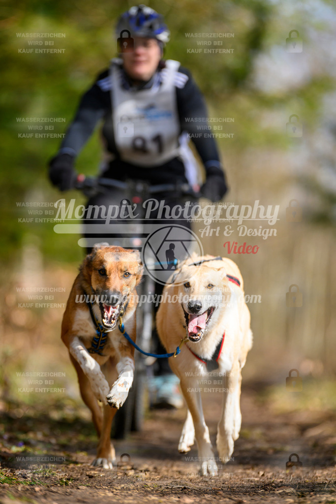 MompixPhotography_ReiatRennen2024_Bike2H-33 | PayLife