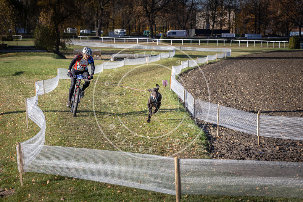 CaniXpix_DV3A4689 | Hundefotografie, Tierfotograf, Pfotenfotografie, Fotoshooting Hund, Hunde Portrait, Hundesport, Hundeportraits, Heideshooting, Hunde, Sportfotograf, Hundefotograf, Turnierhundsport, THS,  - Realisiert mit Pictrs.com