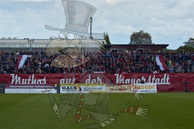 BFC Dynamo vs. FSV Zwickau 006 | mythos-online-redaktion