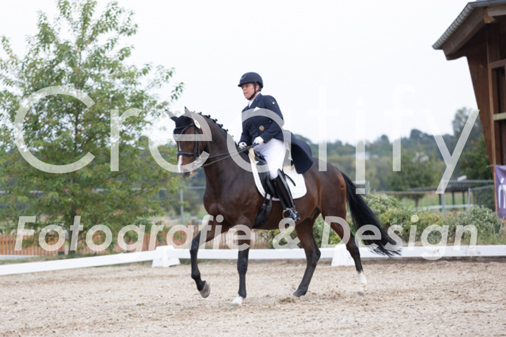 IMG_5378 | Creatify Fotografie