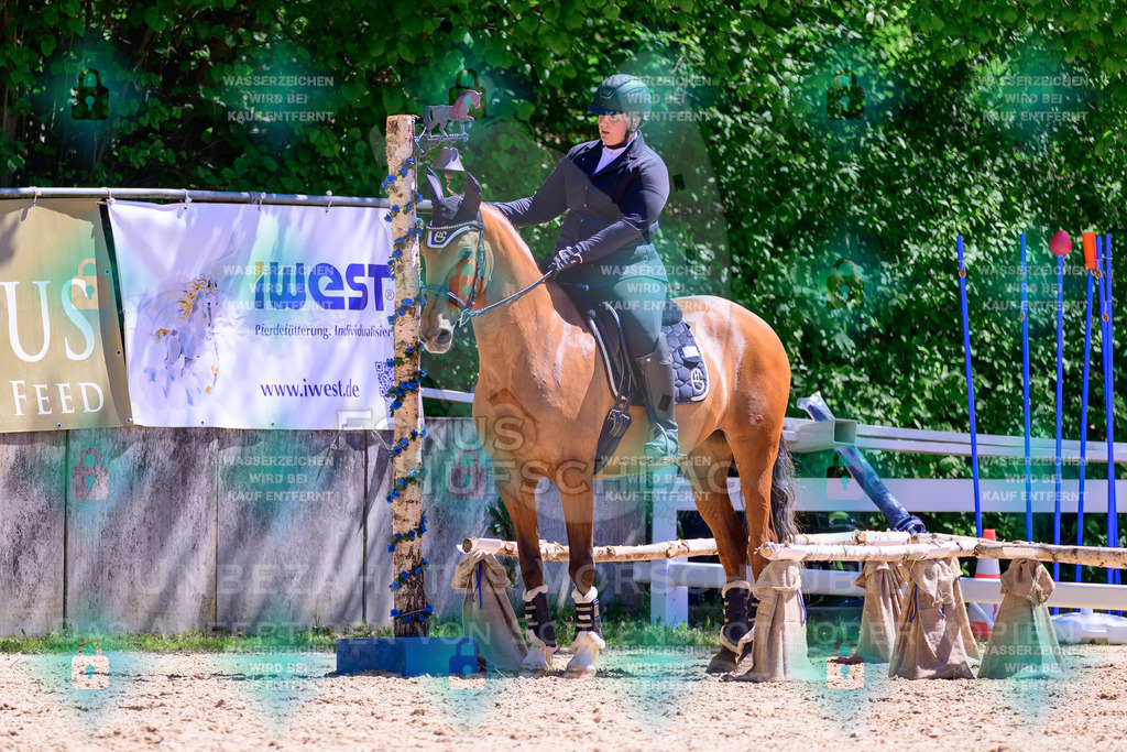 01052026-Giesenbach-02-Stiltrail-0273 | Fokus Hufschlag Fotografie - Realisiert mit Pictrs.com