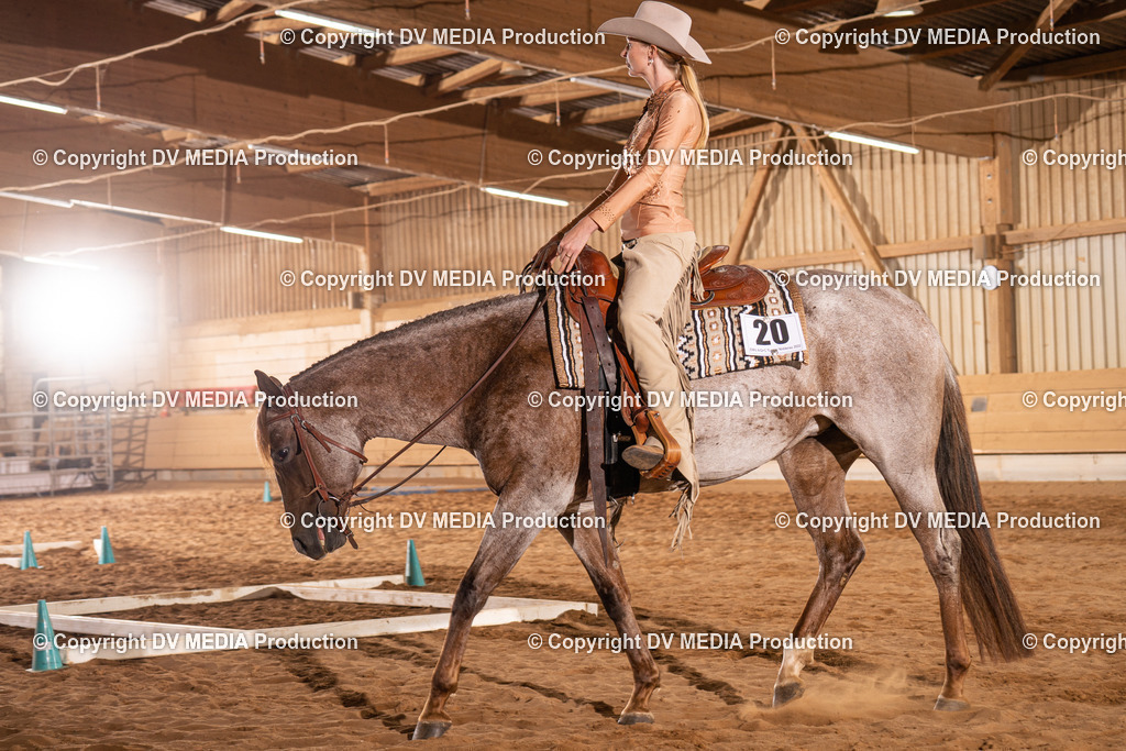 NID00828 | dv-media-shop - Realisiert mit Pictrs.com