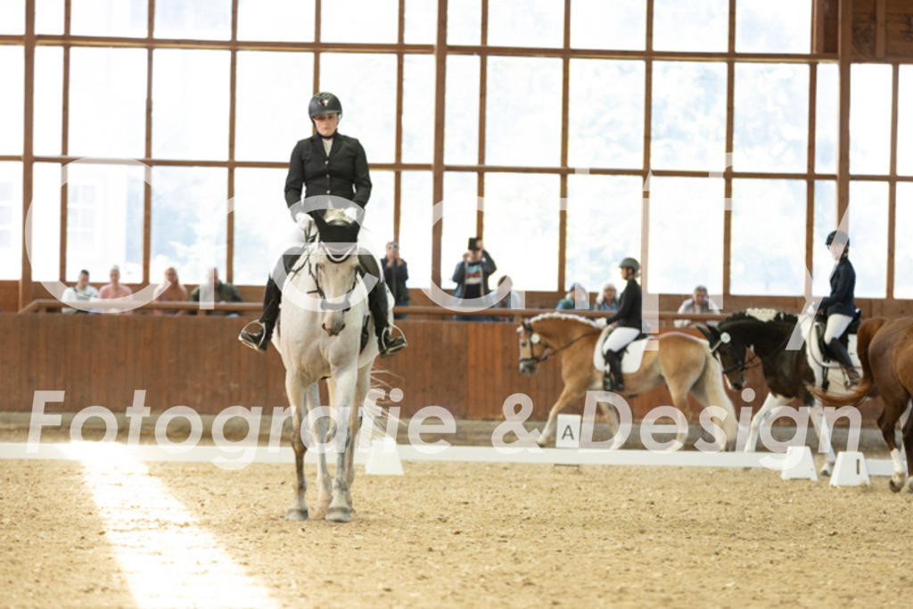 IMG_5201 | Creatify Fotografie