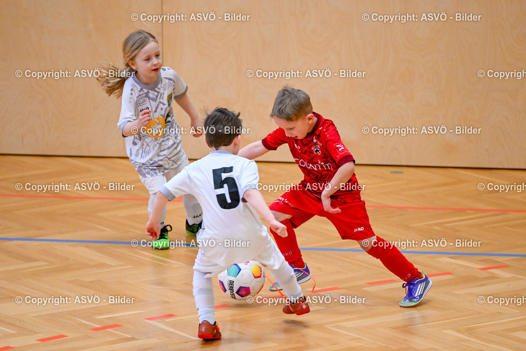 ASVÖ_ Fussball Nachwuchs Hallenturnier 2026_ SV Gallneukirchen_ 28.02.2026-33 | 28.02.2026, Gallneukirchen, AUT, ASVÖ, Fussball Nachwuchs Hallenturnier 2026, SV Gallneukirchen im Bild Teilnehmer U7©Harald Dostal / fodo.media - Realisiert mit Pictrs.com